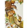 Image 4 : Flickers
