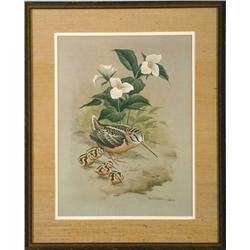 Birds and Flowers