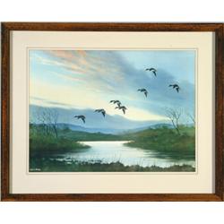 Mallards (Landing)
