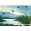 Image 2 : Mallards (Landing)