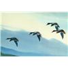 Image 4 : Mallards (Landing)