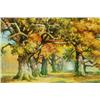 Image 3 : Trees in Autumn