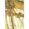 Image 8 : The Rising Wind