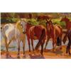 Image 3 : New Forest, Ponies at Tyrozz's Ford