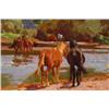 Image 4 : New Forest, Ponies at Tyrozz's Ford