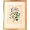 Image 2 : Pair of Floral Prints