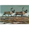 Image 4 : Across the Tundra       