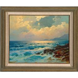 Ocean and Rocks