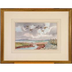 Mallards Aloft