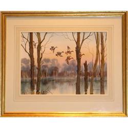 Mallards Coming In