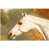 Image 2 : White Stallion