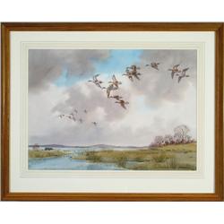 Mallards in Flight
