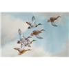 Image 2 : Mallards in Flight