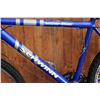 Image 2 : BLUE SCHWINN BIKE
