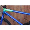 Image 2 : BLUE NORCO BIKE