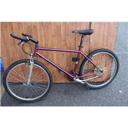 PURPLE KUWAHARA BIKE