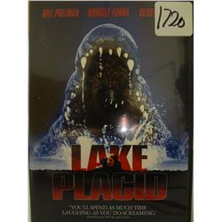 Used Lake Placid