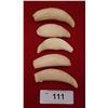 Image 1 : LOT OF 5 WHALES TEETH
