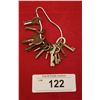 Image 1 : 12 ANTIQUE FURNITURE SKELETON KEYS