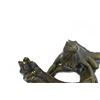 Image 5 : Iguana on Tree Branch Bronze Sculpture