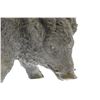 Image 2 : Chemin Boar Wild Pig Bronze Sculpture