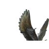 Image 4 : Two Tone American Eagle Bronze Statue