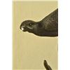 Image 2 : Pheasants Bird 32 Bronze Sculpture on Marble Base Statue