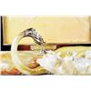 Image 8 : Lion Jungle Edition Jay Strong Water Picture Frame