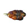 Image 9 : Duck Bronze Sculpture