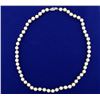Image 1 : Akoya Pearl Necklace with 14k Gold Clasp