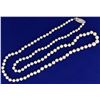 Image 1 : Graduated Akoya Pearl Necklace with 14k White Gold Clasp