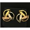 Image 1 : Rose, White and Yellow Gold Designer Earrings