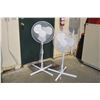 Image 1 : (Two) Fans
