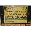 Image 3 : 1959 Chicago White Sox Display W/ Team Trading Cards