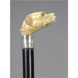 An ebony walking stick, the bone handle carved as a Labrador's head, glass eyes, silver mount, 88...