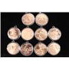 Image 1 : 10 AMERICAN WILDLIFE SERIES COPPER ROUNDS