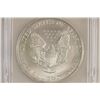 Image 2 : 2004 AMERICAN SILVER EAGLE ICG MS70