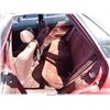 Image 7 : 1992 - GEO PRIZM
