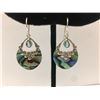 Image 1 : Sterling Silver Stone Earring