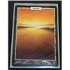 Image 1 : Magic The Gathering Plains Unhinged 136/140