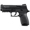 Image 1 : SIG SAUER P250 COMPACT 22 LR