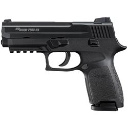SIG SAUER P250 COMPACT 22 LR
