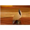 Image 1 : Assorted Stone Birds Gift Item