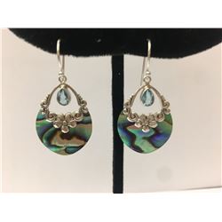 Sterling Silver Stone Earring