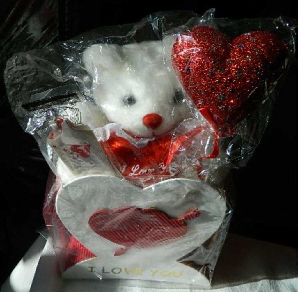 teddy bear gift box