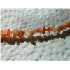 Image 3 : NECKLACE - CHOKER - CORAL