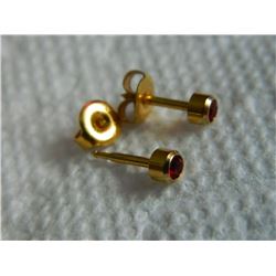 EARRINGS - "STUDEX" - GOLD PLATED - JANUARY BIRTHSTONE