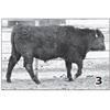 Image 1 : Lot - 3