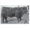 Image 1 : Lot - 9