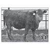 Image 1 : Lot - 11